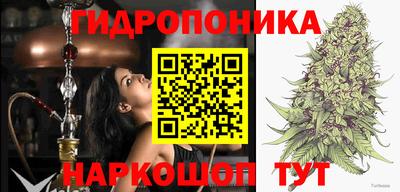PSILOCYBIN Малгобек