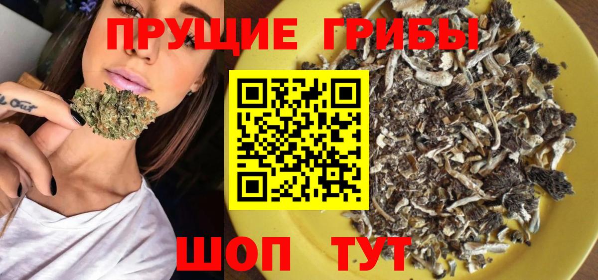 Галлюциногенные грибы мухоморы  Галлюциногенные грибы GOLDEN TEACHER  Вход с VPN  магазин    Губкинский 