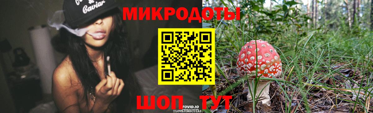 Галлюциногенные грибы Psilocybine cubensis Губкинский